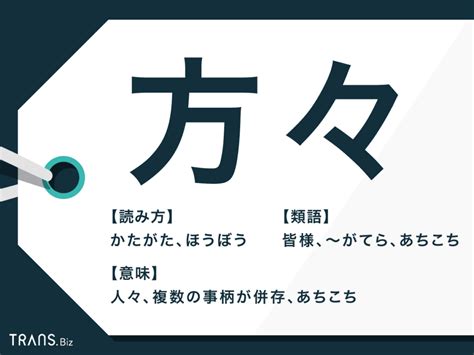 novaとは・意味・使い方・読み方・例文 .